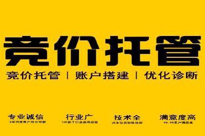成功案例：SEM托管助力企业提升转化率